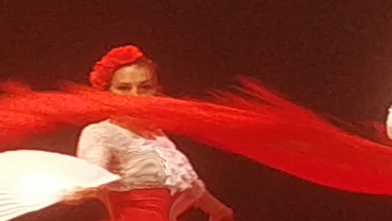 mirada flamenca